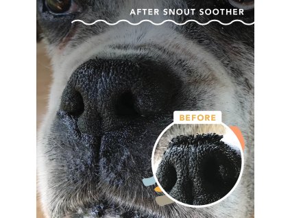 Snout Soother stick 1