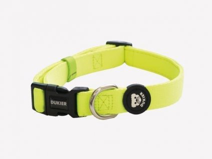 neon dog collar 371128 600x