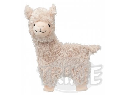 lama