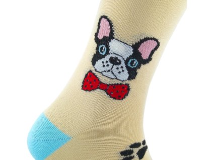 french bulldog 2
