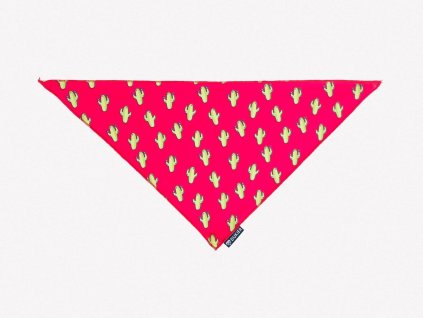 bandana cactus 216744 2000x