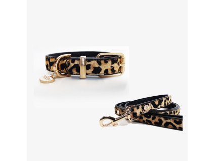Zvýhodněný set: Obojek + Vodítko Leopard