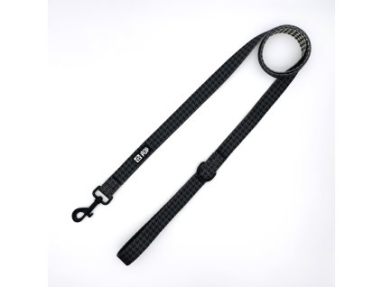 DogtectiveLeash 3000x