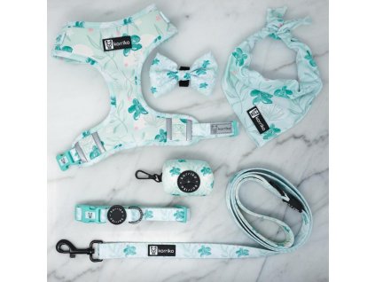 mintsakurabundleset 2000x