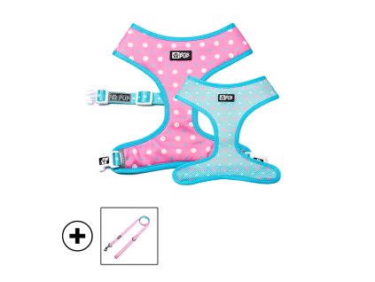 puppy set
