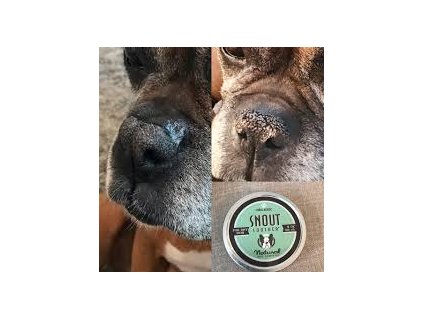 natural dog snoot cestovní