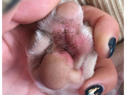 paw soother ..