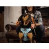 reversible dog skull harness 357883 2000x