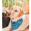 Dino Bandana Perro 37370839 062c 42ee b12f 59dfdf409453 (1)