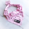 PigginOutCoolingBandana (1)