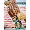 dookie safari lion harness d56e3c45 d5ec 4017 aca8 7881aec0d0c3
