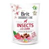 brit care dog crunchy cracker insects with lamb enriched with raspberries 200g original