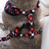 redplaidharnessbackleash f35ea59e 3e2b 4cb8 92fb 8a4991568cc0