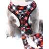 redplaidharnessleashclose 98f89daa 3fec 4b75 aaff b14a63549870