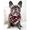 zoeyredplaidbandana 23395e83 8f3e 4983 b15e caf075f01d73 2000x