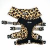 LeopardHarness 3000x