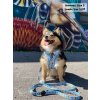 dookiehoneybeeharnessleash1 e47e8cd4 0b1b 4514 8c2c 0355e6a7a84a (1)