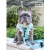 zoey dream team harness ed3ea0df bafb 460c b263 5144817cf807