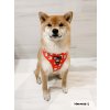kiichigo moo moo harness 2 ba4360eb 0398 4dd6 94db 91a4e721726c