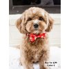 winnie moo moo bow tie d3815cd6 bbfd 43d2 9d7b 4b1eb74be437