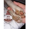 Queri Natural Dog PawSoother balzam na tlapky review
