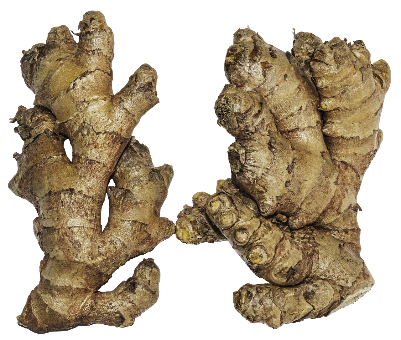 Zázvorový čaj – ilustrační foto