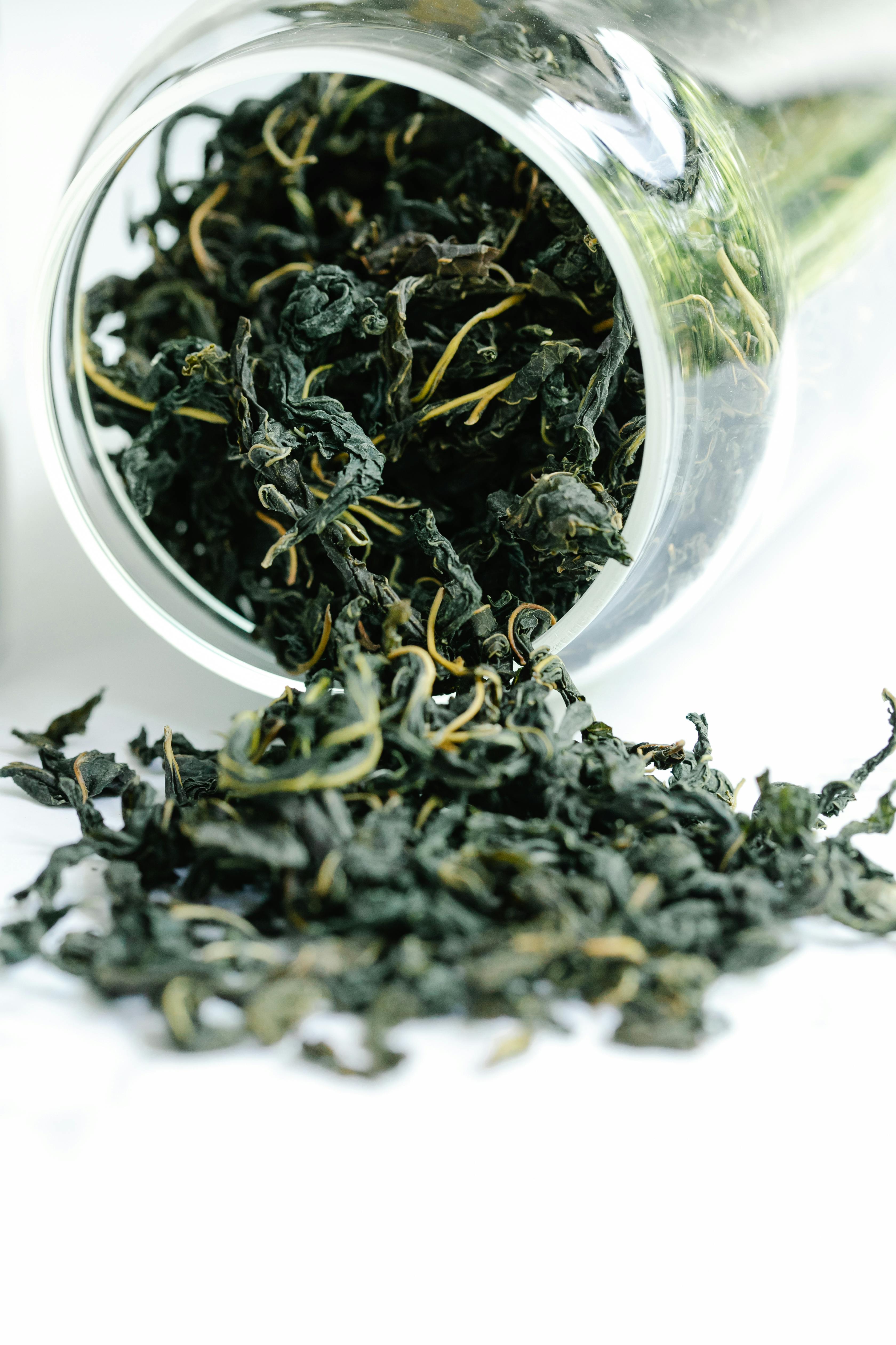 Příprava oolong čaje – čajový rituál