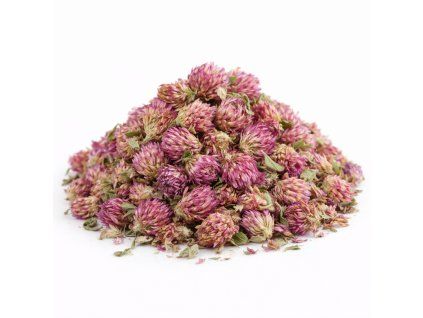 Jetel luční –⁠⁠⁠⁠⁠ květ