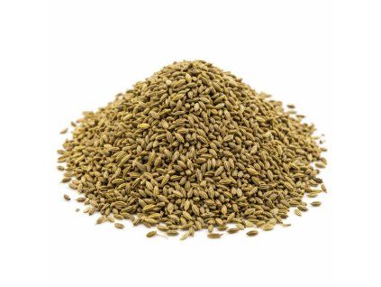 Fenykl plod hořký - celý