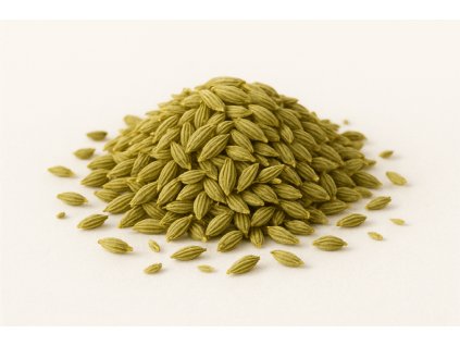 ChatGPT Image 6. 8. 2025 11 34 58