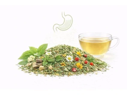 ChatGPT Image 27. 3. 2026 17 57 28