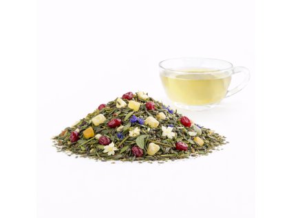 ChatGPT Image 8. 2. 2026 13 31 13