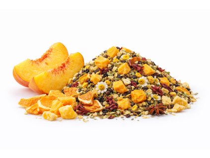 ChatGPT Image 1. 2. 2026 14 27 59