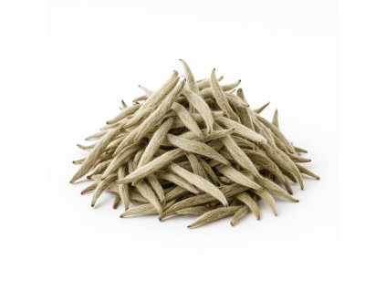 ChatGPT Image 5. 11. 2025 20 39 05