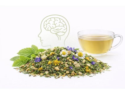 ChatGPT Image 8. 2. 2026 16 54 51