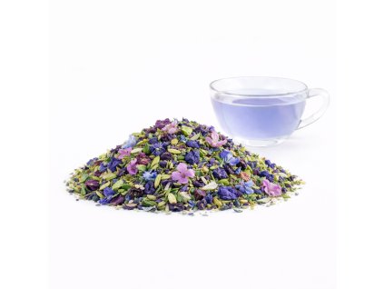 ChatGPT Image 8. 2. 2026 10 46 37