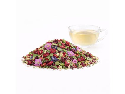 ChatGPT Image 8. 2. 2026 10 48 07