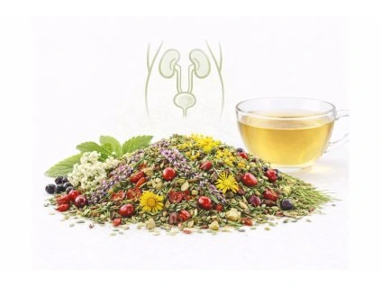 ChatGPT Image 27. 3. 2026 17 47 01