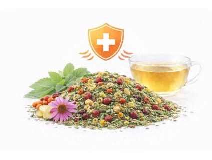 Imunita se zázvorem