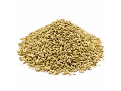 Fenykl – plod celý