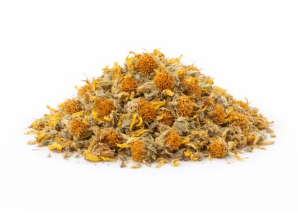 ChatGPT Image 20. 12. 2025 12 47 57