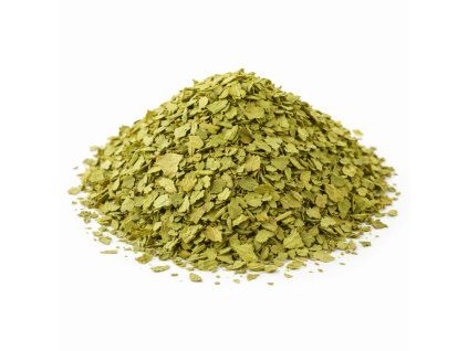Jinan (Ginkgo biloba) – list řezaný