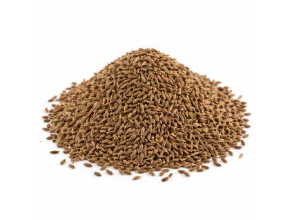 Kmín kořenný – plod celý