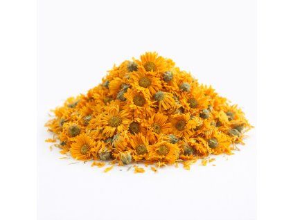 ChatGPT Image 28. 3. 2026 15 20 42