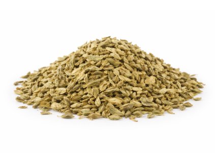 ChatGPT Image 20. 12. 2025 12 48 43