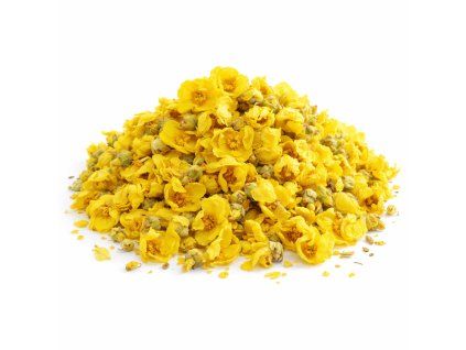 Divizna květ – celý