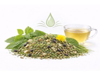 ChatGPT Image 8. 2. 2026 13 11 43