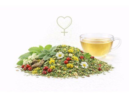 ChatGPT Image 27. 3. 2026 17 52 29