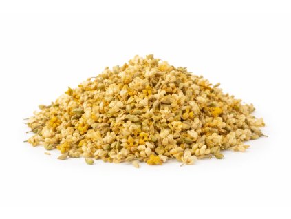 ChatGPT Image 20. 12. 2025 12 42 00