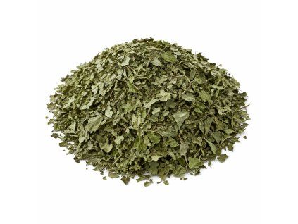 ChatGPT Image 28. 3. 2026 07 55 02